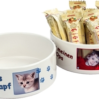 Accessori per cani e gatti