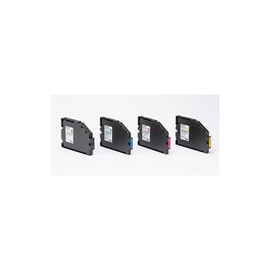 GARMENT INK CARTRIDGE C 100PG RI100